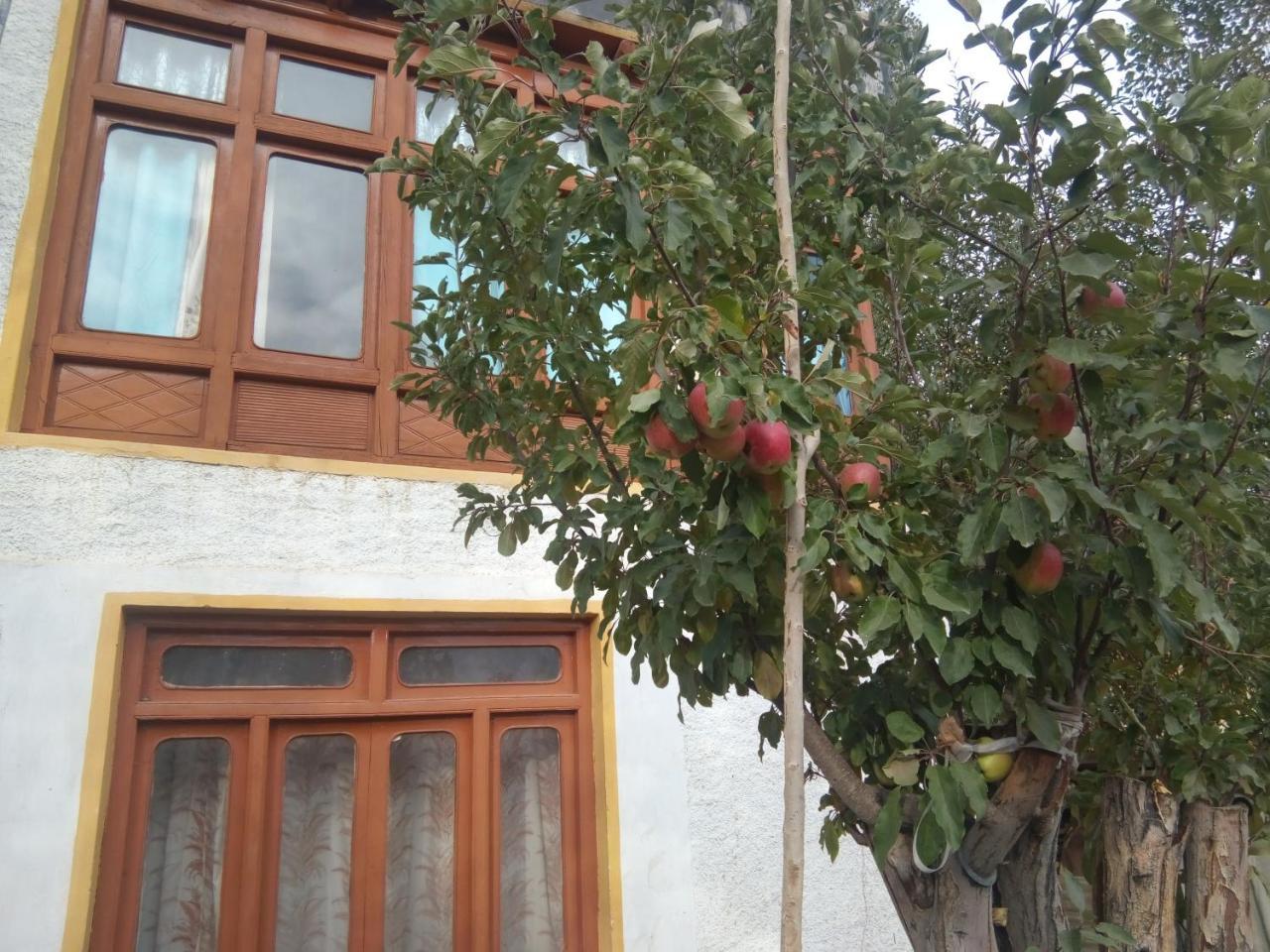 Hotel Achina Leh Exterior foto